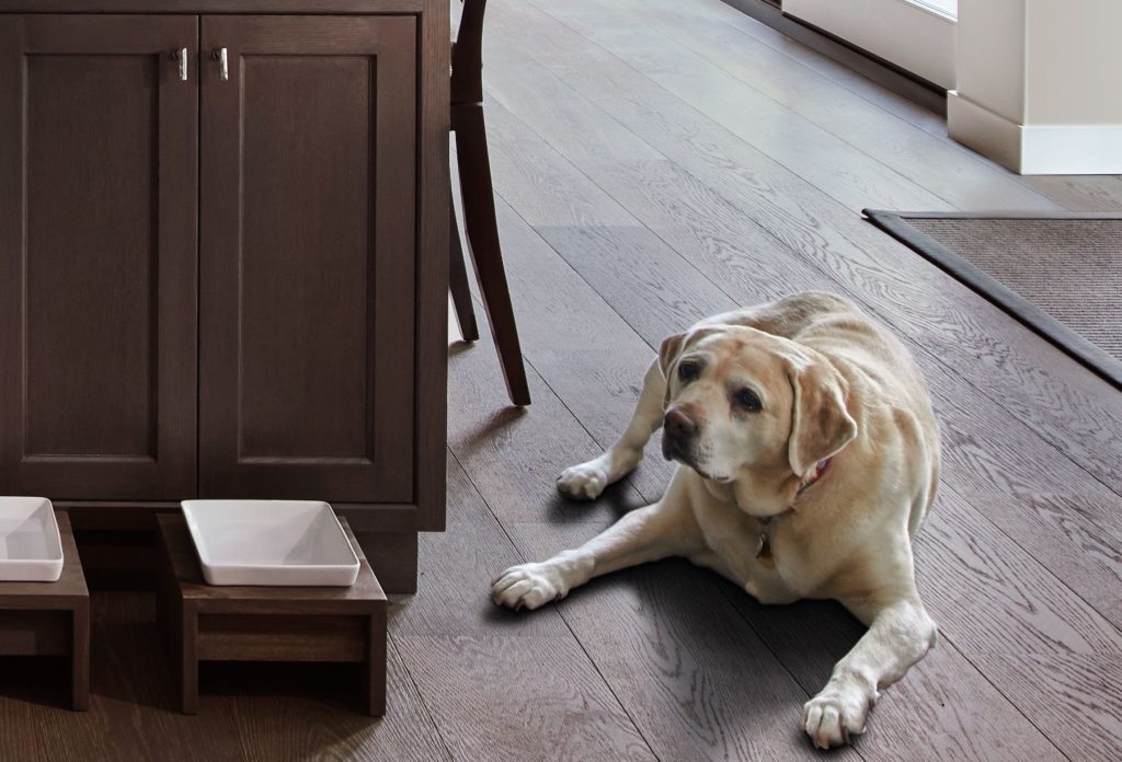 gourmet-chefs-kitchen-alamo-ca-douglah-design-labrador dog on laying on floor