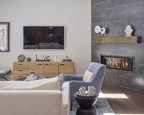 Modern Farmhouse Living Room Design Remodel
