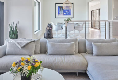 Scandinavian Family Home Living Room Design Moraga