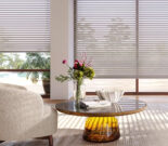Leila Douglah Hunter Douglas Blinds And Shades